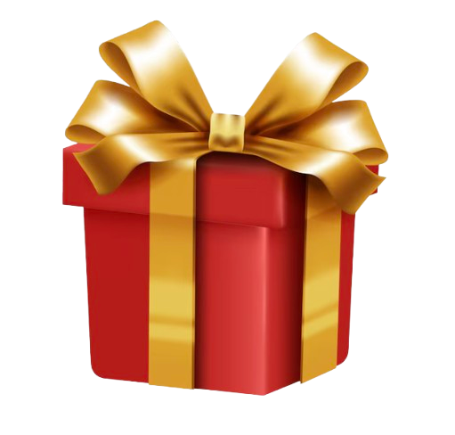 🎁 Cadeau Surprise (100% off)