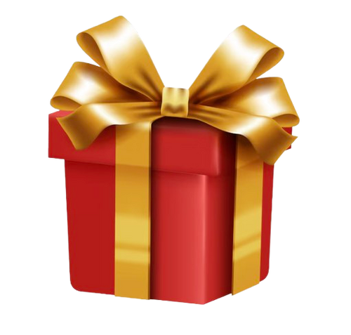 🎁 Cadeau Surprise (100% off)